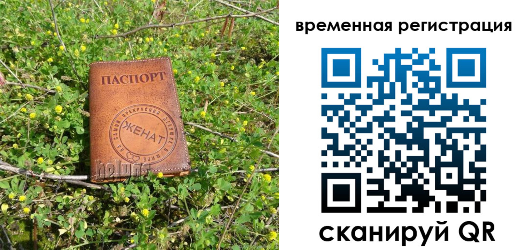 прописка регистрация в Светлом